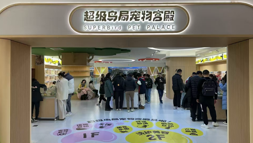 澳门开奖结果2025开奖记录,人民日报谈重点领域风险,成语解释落实可能存在的问题_测试版V13.71