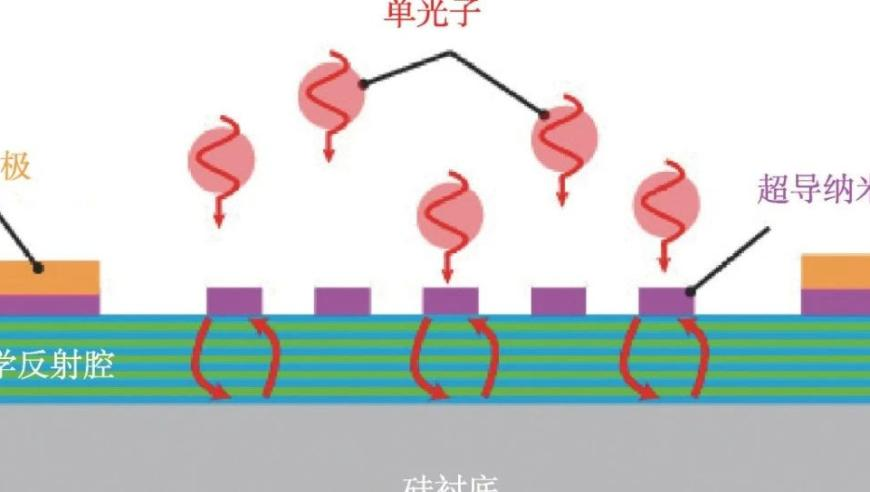 NewJeans更名为NJZ,新澳门118免费资料,全面解答解释落实_权威版V4.97