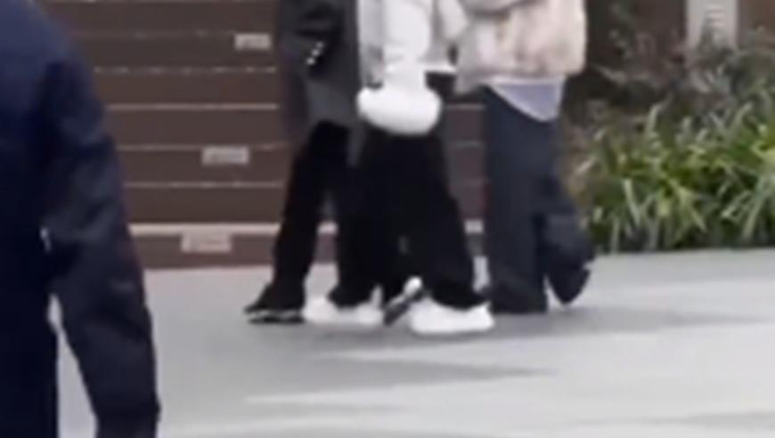 网购了1只恶犬还没袜子大,澳门六开今晚的,成语解释落实可能存在的问题_iosV15.42