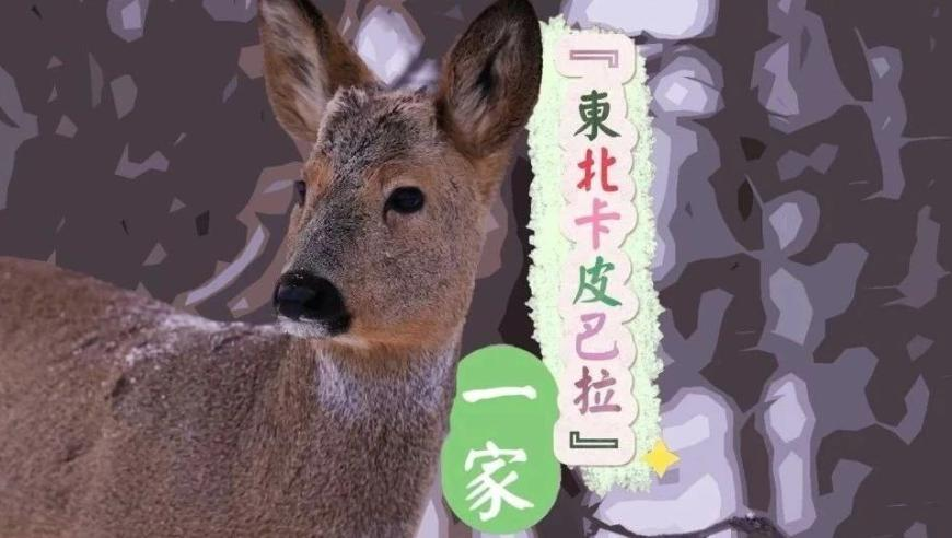黄旭华87岁时的愿望,024澳门正版资料免费大全,机构预测与落实方法揭秘_投资版V15.99