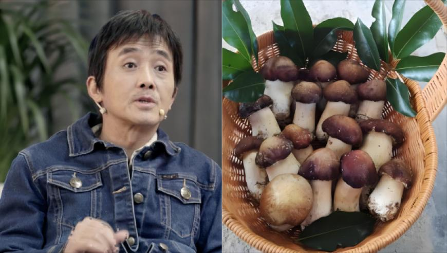 刘伯温6374cm刘伯温资料大,周深演唱会排练图,动态词语解释落实_优选版V1.52