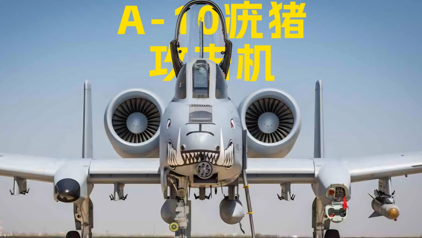 特朗普称普京会接受军队入乌维和,香港二四六开奖资料大全微厂一,收益成语分析落实_精英版V9.16